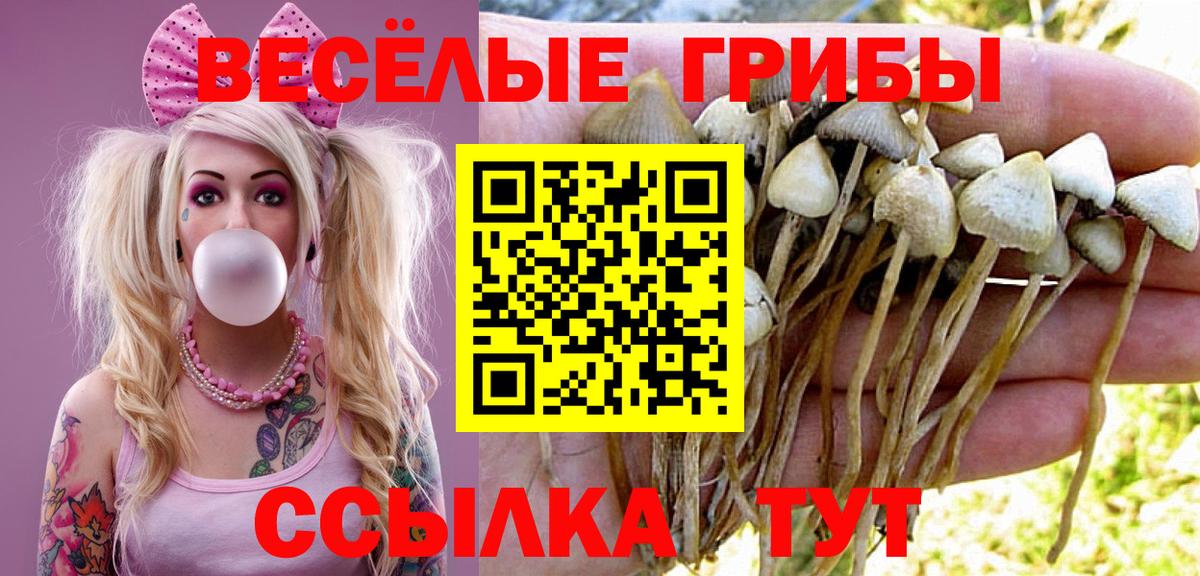 Галлюциногенные грибы мицелий  Вход с VPN  Лосино-Петровский 